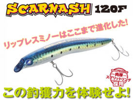 SCARNASH120F